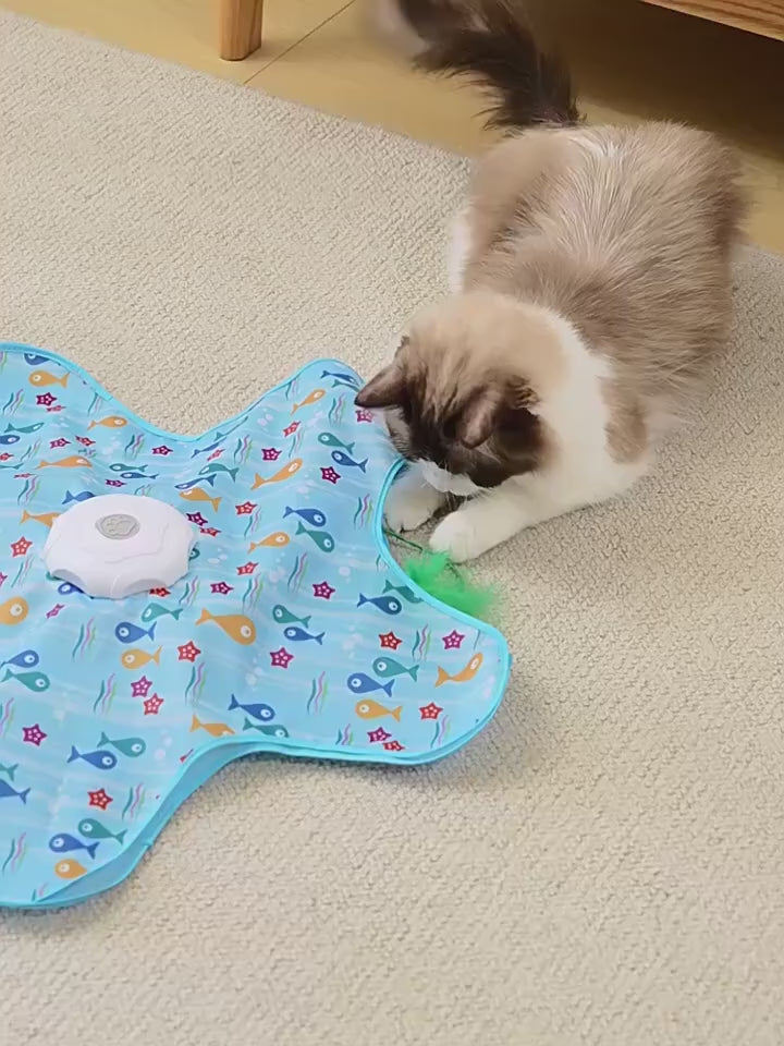 Gato jugando con el juguete en forma de estrella